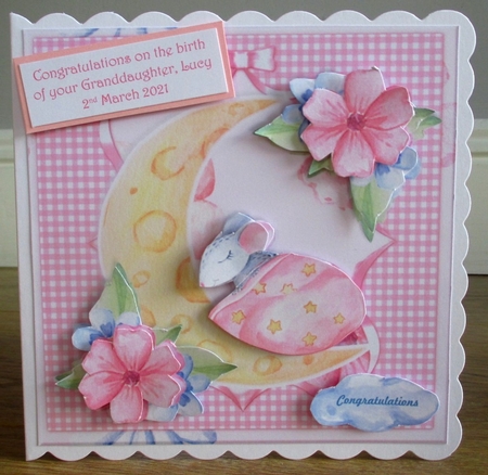 New baby Girl  Cute Mini Kit by Johanna Lambert