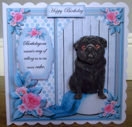 Pug and Bull Dog Bumper  by Johanna Lambert