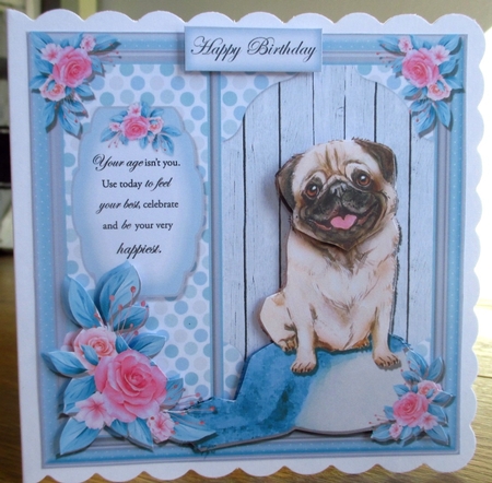 Pug and Bull Dog Bumper  by Johanna Lambert