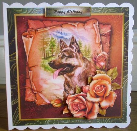 Bumperkit Male Cards Golden Roses by Johanna Lambert