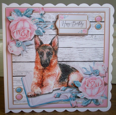 Puppy Love 5  by Johanna Lambert