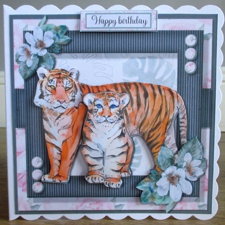 Beautiful Wild two  by Johanna Lambert