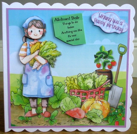 Allotment daily by Johanna Lambert