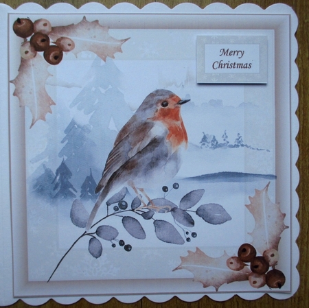 Sepia Christmas Winter Robin 8x8 by Johanna Lambert