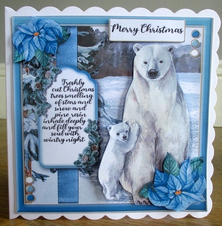 Holiday Animals 1  by Johanna Lambert