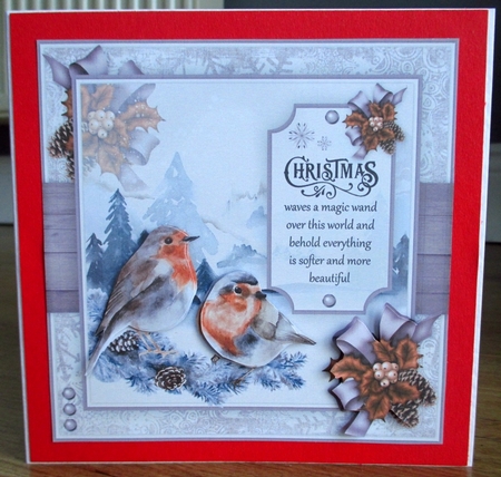 Pair of Robins Mini Kit by Johanna Lambert