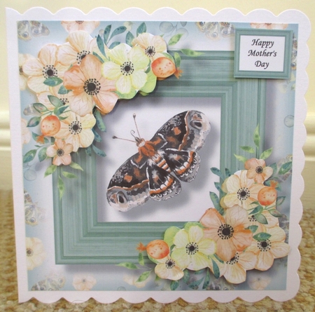 Beautiful Butterfly Bumper Kit by Johanna Lambert