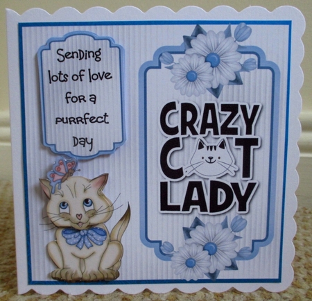 Crazy Cat Lady 2 - 6x6 inch card front with decoupage by Johanna Lambert