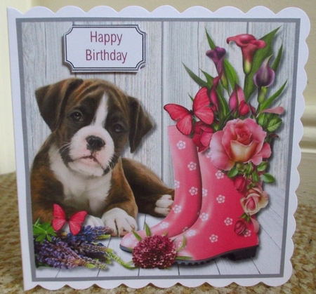 Dog and Flowers by Johanna Lambert