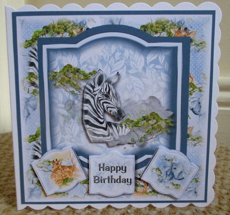 On Safari Zebra by Johanna Lambert