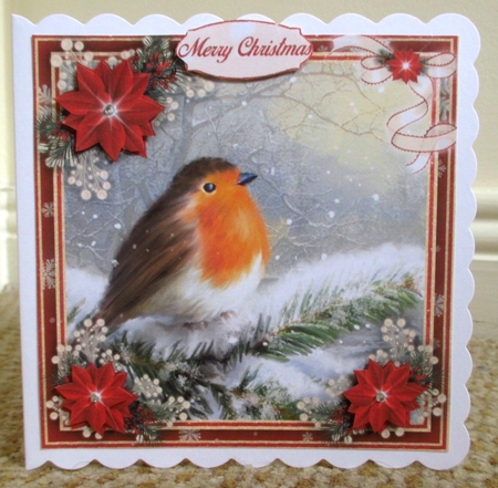 Winter Robins Bumper Kit #1    by Johanna Lambert