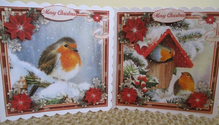 Winter Robins Bumper Kit #1    by Johanna Lambert