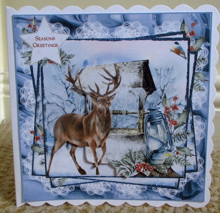 Wild Winter 11 by Johanna Lambert