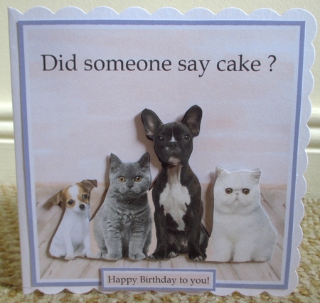 Birthday Cake  by Johanna Lambert