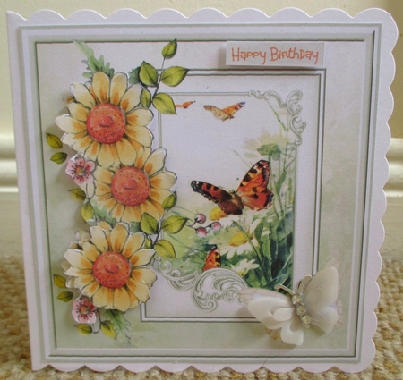 Daisy and butterfly 7x7 by Johanna Lambert