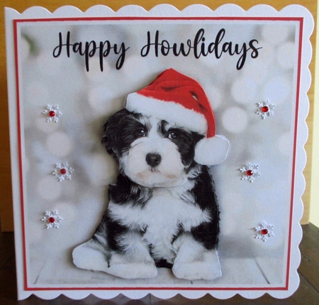 Christmas Howliday  by Johanna Lambert