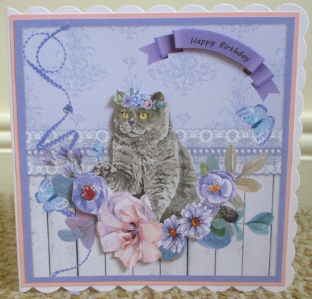 Lavender flowers and cat by Johanna Lambert