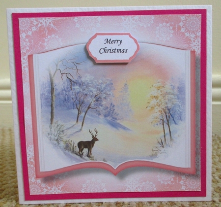 Open Book Scenic Christmas No Flowers - Stag At Sunset by Johanna Lambert