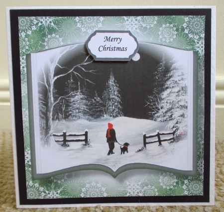 Open Book Scenic Christmas No Flowers - Midnight Walk by Johanna Lambert
