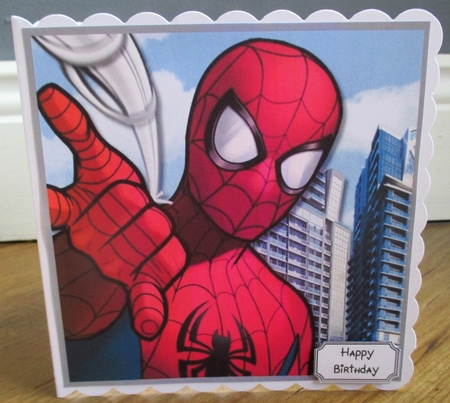 Spiderman by Johanna Lambert