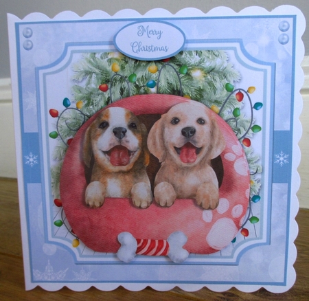 CHRISTMAS PUPPIES by Johanna Lambert