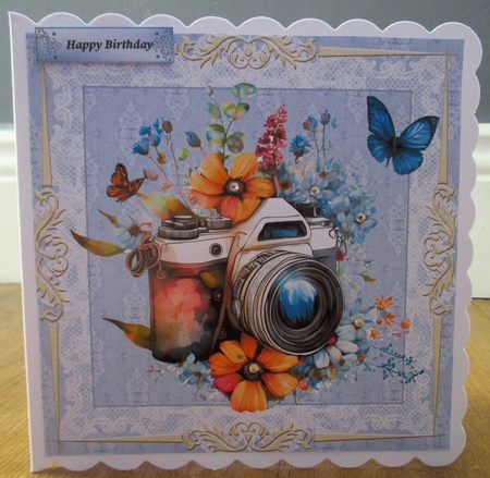 Butterfly and flowers 3 by Johanna Lambert