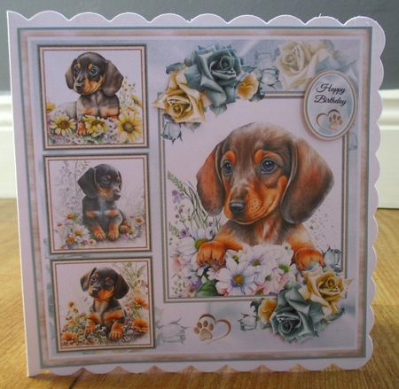 Cute Puppy Collage Collection by Johanna Lambert