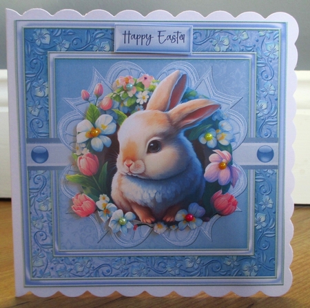 Easter Bunny by Johanna Lambert