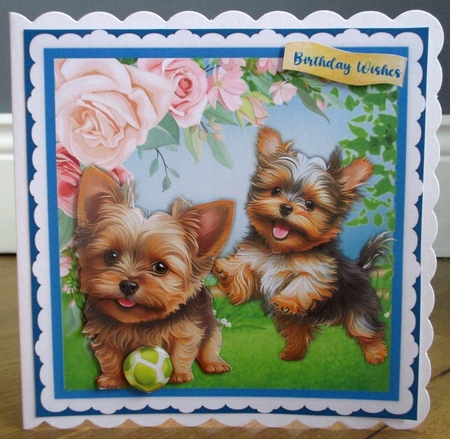 8x8 Mini Kit, Yorkies Play time in the Park by Johanna Lambert