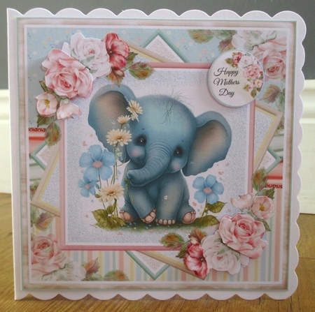 Cute Baby Elephant Collection by Johanna Lambert