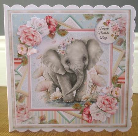 Cute Baby Elephant Collection by Johanna Lambert
