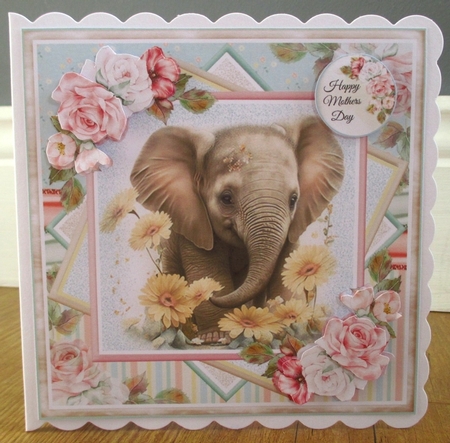 Cute Baby Elephant Collection by Johanna Lambert