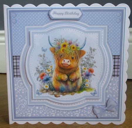 PRETTY HIGHLAND COWS by Johanna Lambert