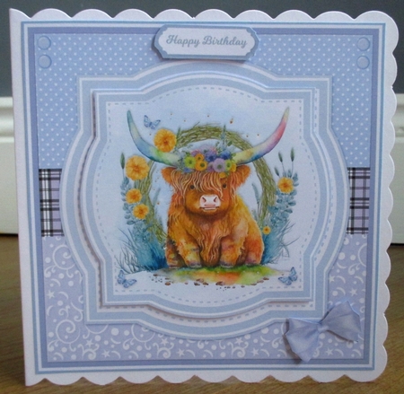 PRETTY HIGHLAND COWS by Johanna Lambert