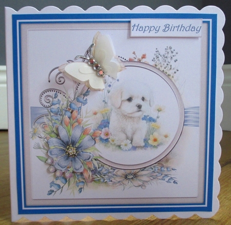 Baby Maltese and flowers  by Johanna Lambert
