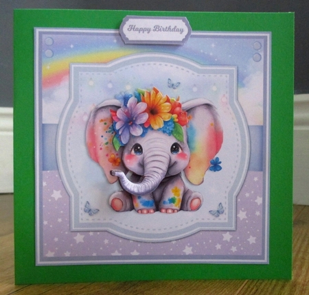 RAINBOW ELEPHANTS by Johanna Lambert