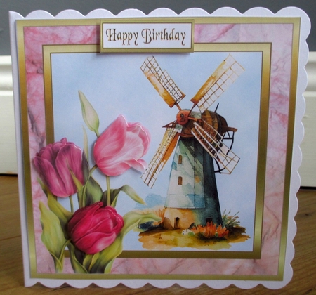 SC Windmill & pink tulips by Johanna Lambert