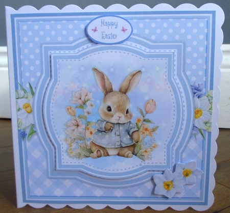 BABY BUNNIES by Johanna Lambert