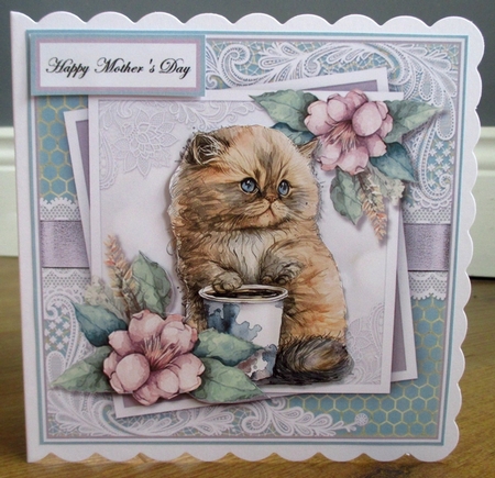 Coffee cats three  by Johanna Lambert