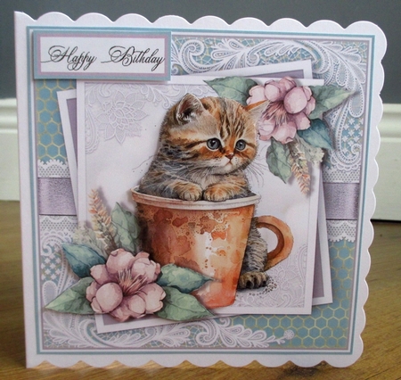 Coffee cats five  by Johanna Lambert