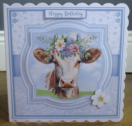 FLOWERY COWS by Johanna Lambert