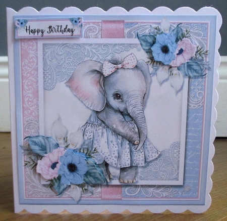 Cute Elephant one  by Johanna Lambert