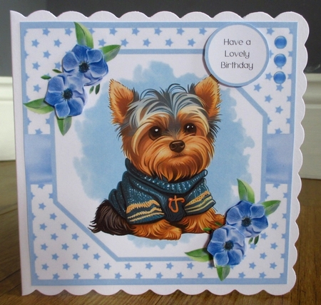 Cute Little Yorkie #1 by Johanna Lambert