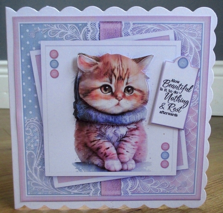 Just a Portrait of a Cute cat KIT-TWO by Johanna Lambert
