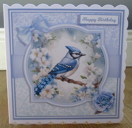 BLUE JAYS by Johanna Lambert