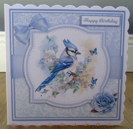BLUE JAYS by Johanna Lambert