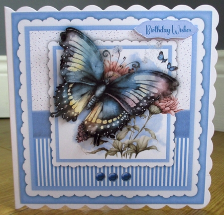 8x8 , Mini Kit ,Stunning Black Butterflys on Flowers by Johanna Lambert