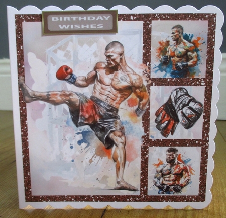 BOXING RING 6 by Johanna Lambert