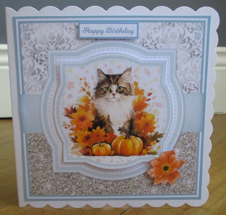 AUTUMN CATS by Johanna Lambert