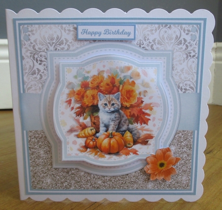 AUTUMN CATS by Johanna Lambert